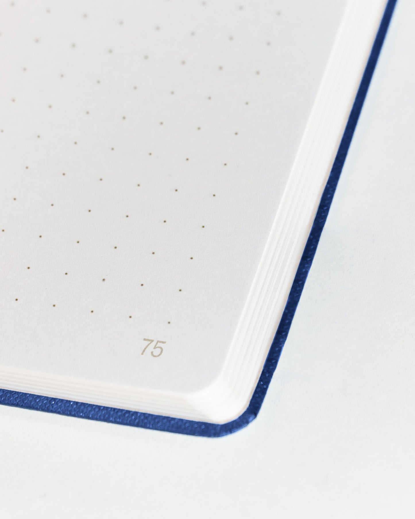 Oh No Notes Notizbuch »Chronik meines Scheiterns«